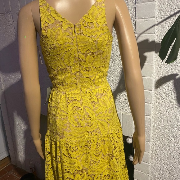 Dress the Population Yellow Lace Maxi Dress - Picture 5 of 6